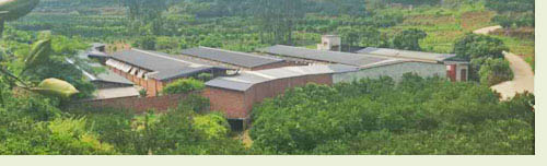 �ѽ�⨺��Ҽ۸�